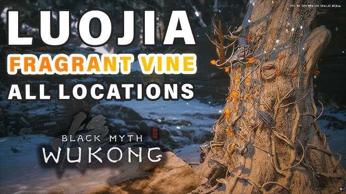 How to Upgrade Gourd: All Luojia Fragrant Vine Locations and Collection Guide for Black Myth: Wukong